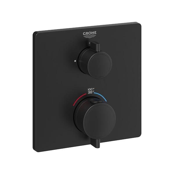 Dual Function 2-Handle Thermostatic Valve Trim, Black